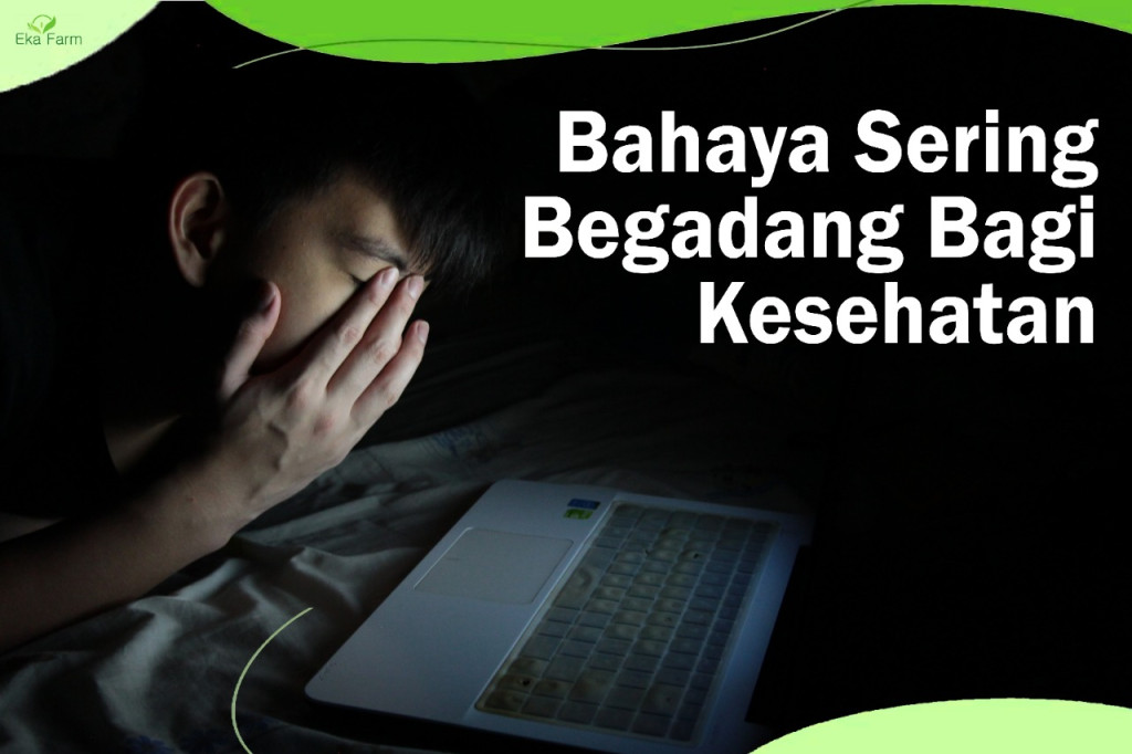 dampak tidur larut malam bagi pelajar Archives – Eka Farm