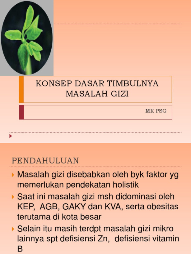 Konsep Dasar Timbulnya Masalah Gizi  PDF