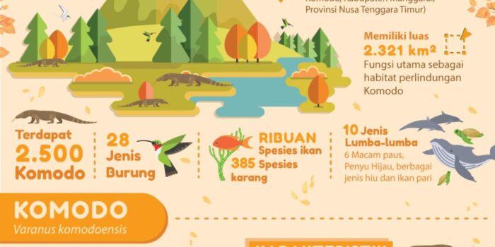 Panduan Lengkap Perjalanan Ke Taman Nasional Komodo, Surga Reptil Di Indonesia