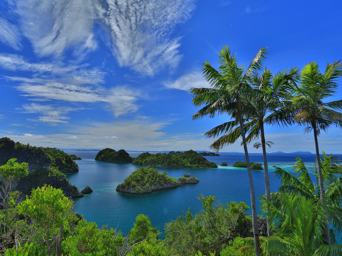 Cara Menikmati Keindahan Raja Ampat, Kepulauan Tropis Dengan Biodiversitas Terkaya Di Dunia