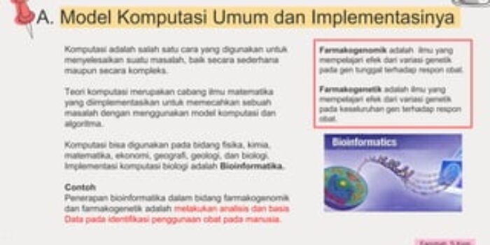 Ekonomi Komputasi: Penggunaan Teknologi Informasi Dan Simulasi Dalam Memecahkan Masalah Ekonomi