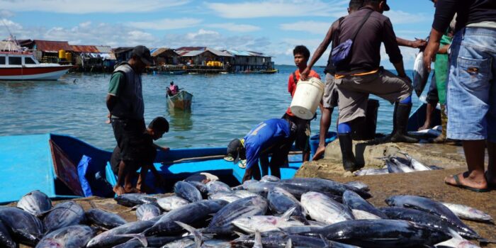 BRIN dorong penduduk pesisir jadi aktor utama ke kegiatan sektor ekonomi biru