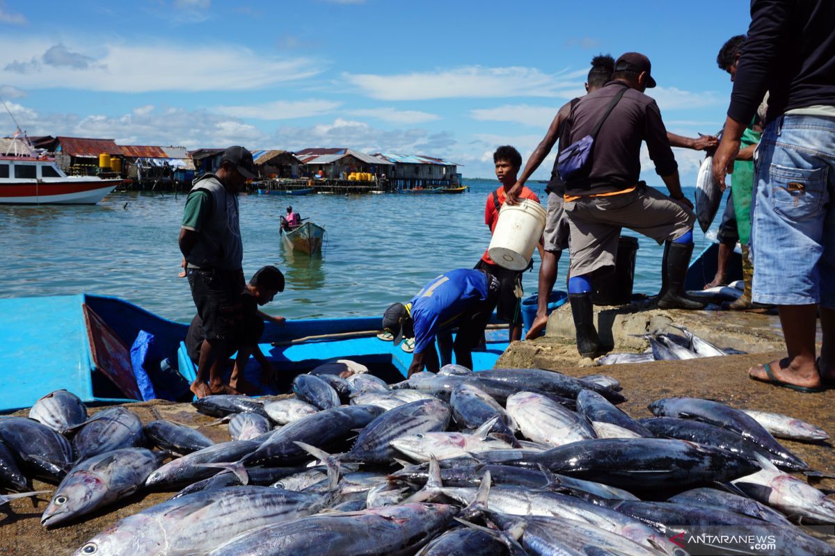 BRIN dorong penduduk pesisir jadi aktor utama ke kegiatan sektor ekonomi biru