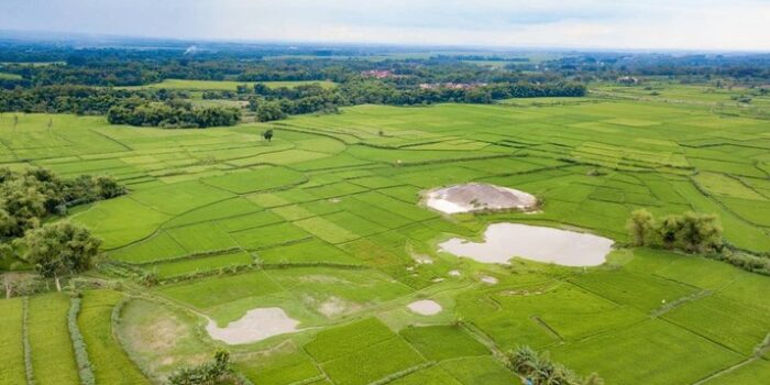 RI Gaet Prancis Demi Temukan ‘Harta Karun Langka’ pada Grobogan Jateng