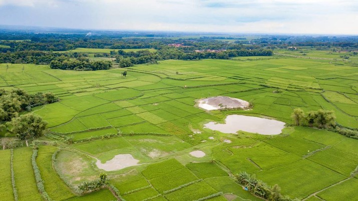 RI Gaet Prancis Demi Temukan ‘Harta Karun Langka’ pada Grobogan Jateng